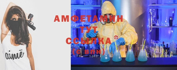 mdpv Вяземский