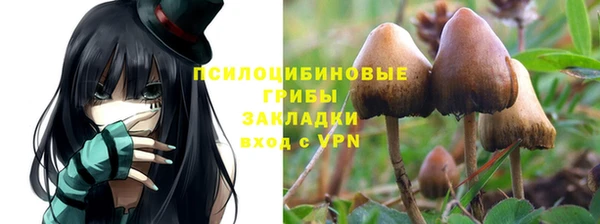 первитин Волосово