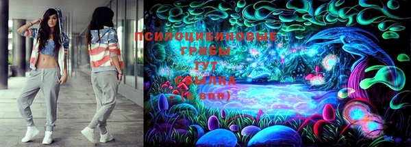 mdpv Вяземский