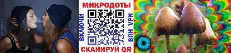 Галлюциногенные грибы Cubensis  Ивантеевка 